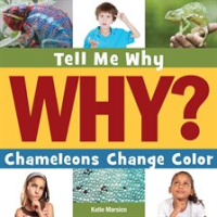 Chameleons Change Color by Marsico, Katie